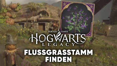 Hogwarts Legacy: Flussgras finden – So bekommt ihr。